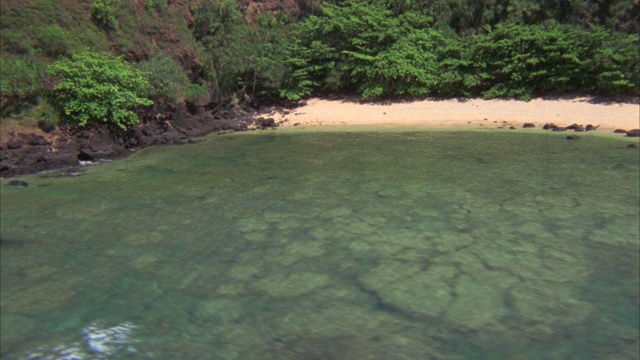 空中飞过树木，植被，珊瑚礁，海湾沙滩，海洋的岩石海岸线。海岸线。可能是热带岛屿。视频素材