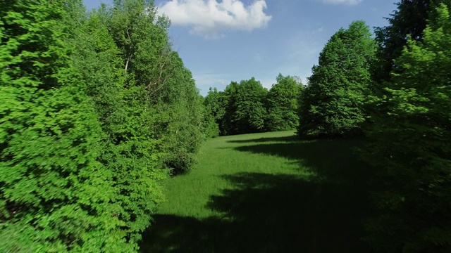 夏天飞过一片草地视频素材