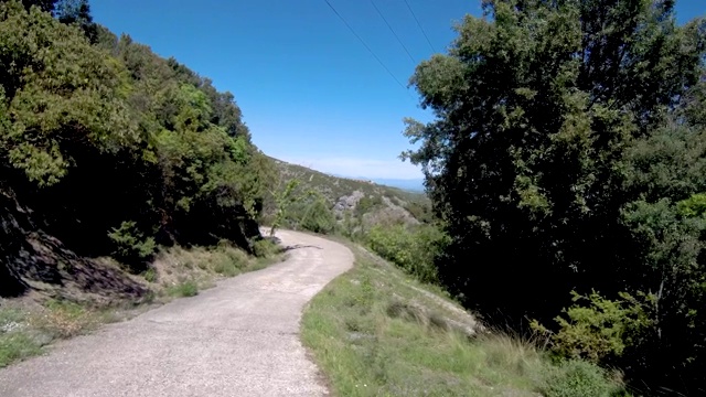 希腊北部树木之间的多山乡村公路视频素材