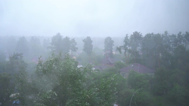 村里有雷雨，有闪电，有大雨，树在风中视频素材