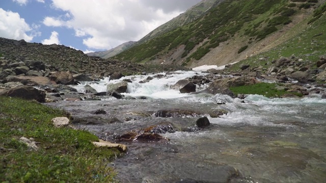 从山坡上涌出的溪水视频素材