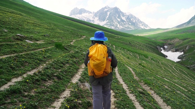 后视图徒步旅行者徒步在绿色的山视频素材