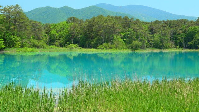 Goshiki-Numa，福岛，日本视频素材