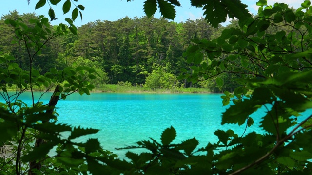 Goshiki-Numa，福岛，日本视频素材