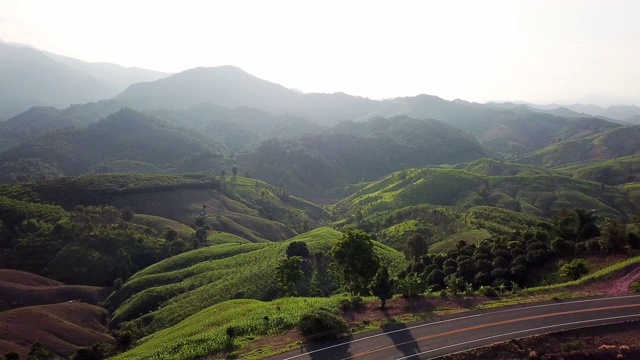 山路上有山有车，山路上有绿油油的森林，航拍视频素材