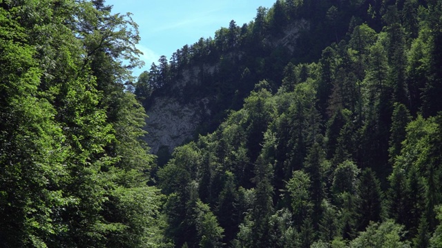 塔特拉山脉的河流交通景观视频素材