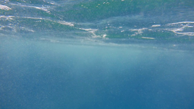 水下的海景视频素材