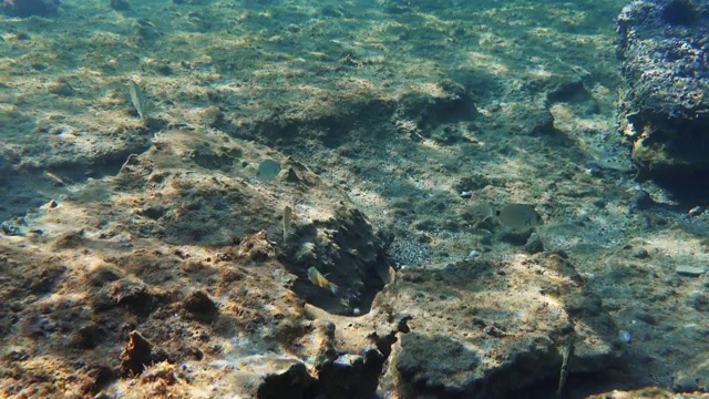 水下的海景视频素材