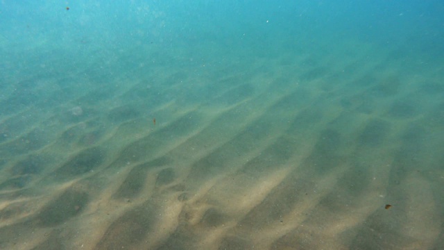 水下的海景视频素材