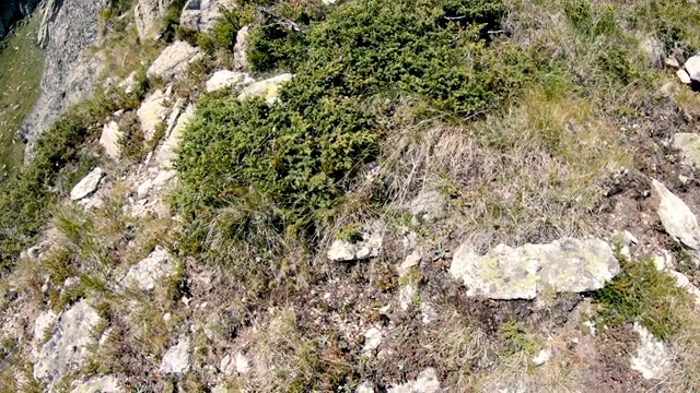 徒步旅行者正在攀登山顶视频素材