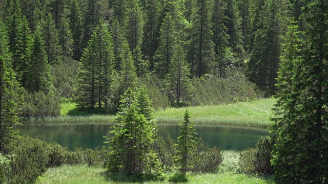 塔特拉山脉的山谷河流的景色视频素材