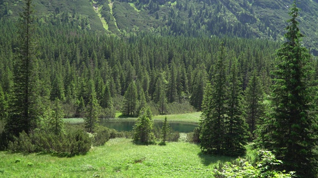 塔特拉山脉的山谷河流的景色视频素材