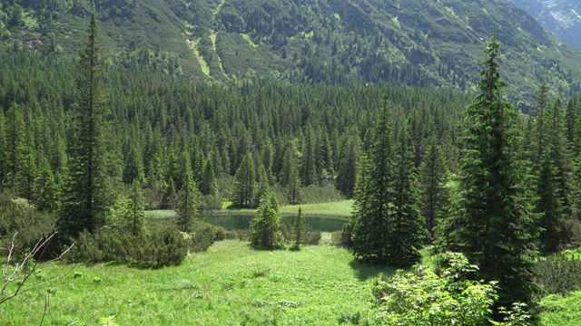 塔特拉山脉的山谷河流的景色视频素材