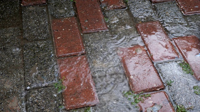 雨点落在铺路石上视频素材