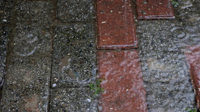 秋雨的水滴落在沥青上的水坑里视频素材