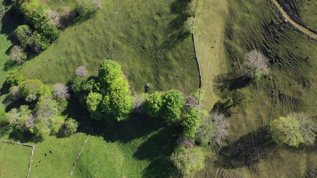 Portillo La Sia, La Gandara, Alto Ason, Soba Valley, Valles pasi戈斯，Cantabria, Spain, Europe视频素材