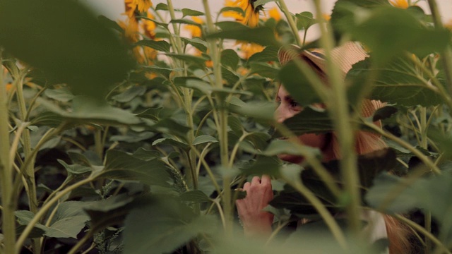 一个戴着帽子的漂亮女孩走在长着高大向日葵的田野里。侧视图。肖像的观点。视频素材