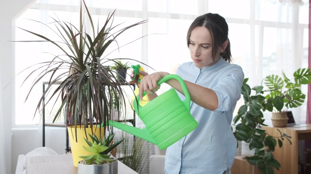 在家里浇植物的女人视频素材