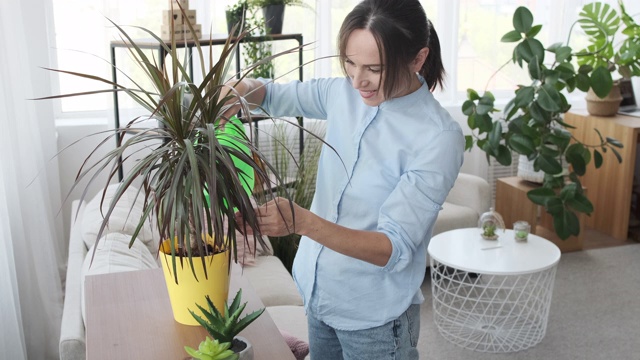 在家里浇植物的女人视频素材