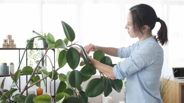 在家里照料植物的妇女视频素材