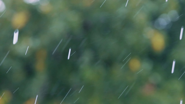 雨天，雨落大自然户外视频素材