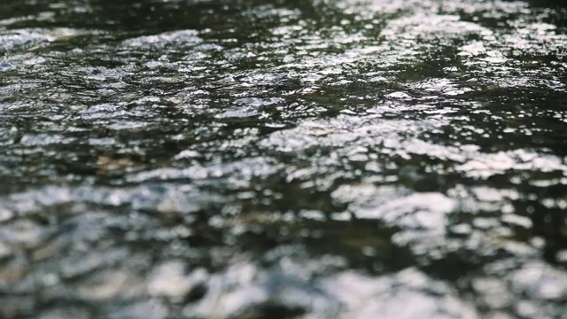 流动的河流视频素材