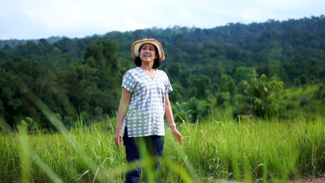 在泰国Khao yai国家公园的草地上，美女们在玩纺纱视频素材