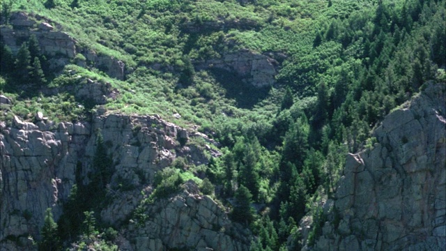 悬空于森林上空，松树生长在岩石山或山坡上。悬崖。视频素材