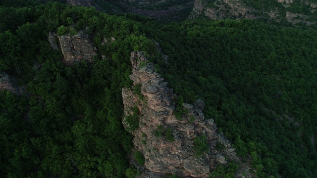 森林，山和路视频素材