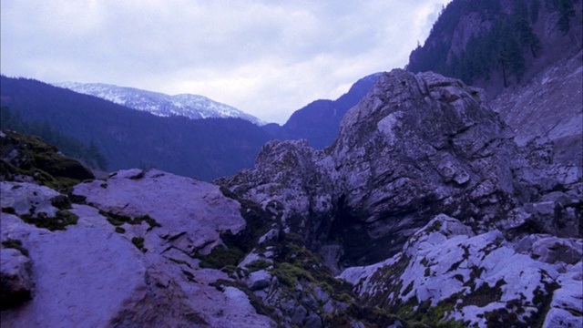 宽角度的黄色pontoo飞机飞过峡谷或山谷。可见的河流或小溪。雪山在bg。树。冬天。系列。视频素材