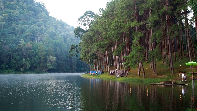 庞昂湖和泰国湄洪松松林，是泰国的自然景观。庞昂是泰国很受欢迎的旅游目的地视频素材