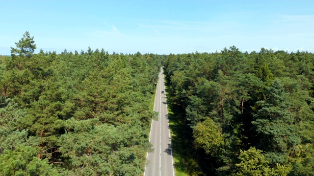 鸟瞰图的白色汽车行驶在乡村道路在森林。鸟瞰图一个美丽的野生动物。在野外驾驶无人机沿着公路飞行。森林道路上的运输交通。空中飞过树林。视频素材