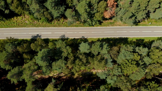 鸟瞰图的白色汽车行驶在乡村道路在森林。鸟瞰图一个美丽的野生动物。在野外驾驶无人机沿着公路飞行。森林道路上的运输交通。空中飞过树林。视频素材