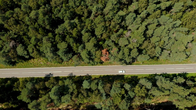 鸟瞰图的白色汽车行驶在乡村道路在森林。鸟瞰图一个美丽的野生动物。在野外驾驶无人机沿着公路飞行。森林道路上的运输交通。空中飞过树林。视频素材