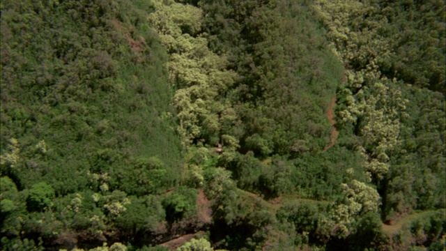 空中俯瞰山谷和山坡，覆盖着树木、植物、树叶。可能在热带雨林或丛林。视频素材