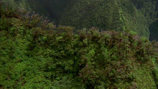 空中俯瞰山谷和群山，覆盖着树木、植物、树叶。可能在热带雨林或丛林。瀑布。视频素材