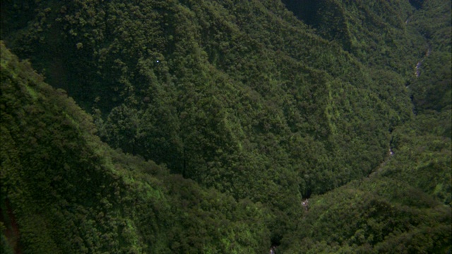 空中俯瞰山谷或峡谷，河流和山脉覆盖着树木、植物、树叶。可能在热带雨林或丛林。雾。视频素材