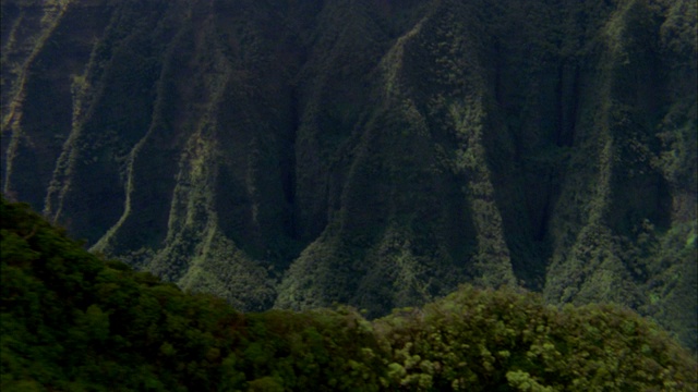 从空中俯瞰覆盖着树木、植物、树叶的山谷、高山或悬崖峭壁。可能在热带雨林或丛林。视频素材