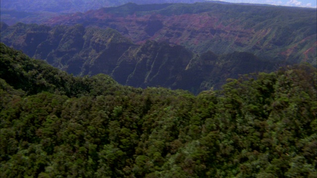 空中俯瞰覆盖着树木、植物、树叶和山谷的山脊。可能在热带雨林或丛林。视频素材