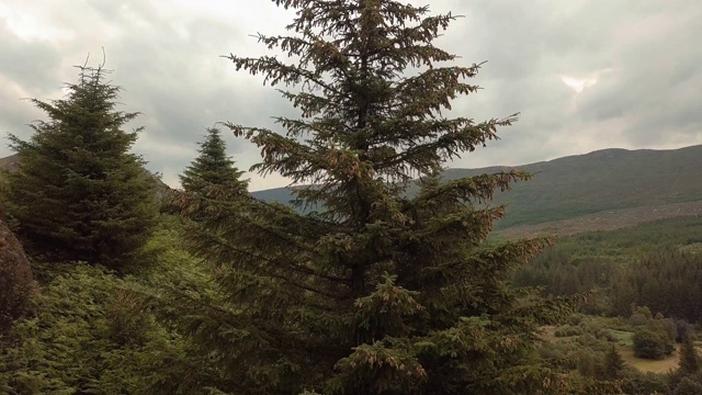 上升鸟瞰图的森林和山脉在绿色的苏格兰风景，高地视频素材