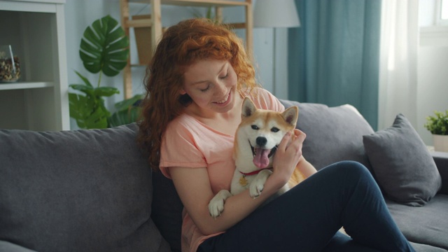 有爱心的宠物主人与可爱的柴犬坐在公寓的沙发上交谈视频素材