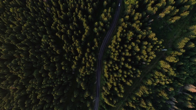 无人机视角的公路旅行通过森林视频素材