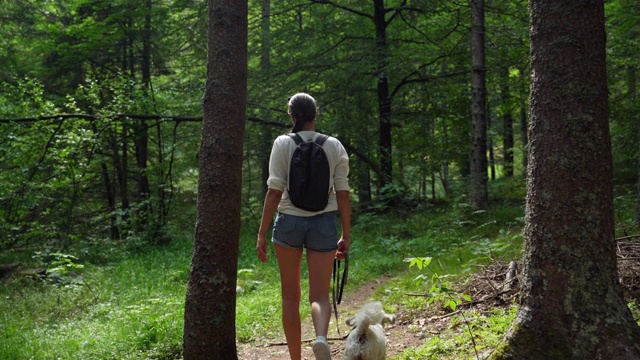 带着狗在森林里徒步旅行的年轻女子视频素材