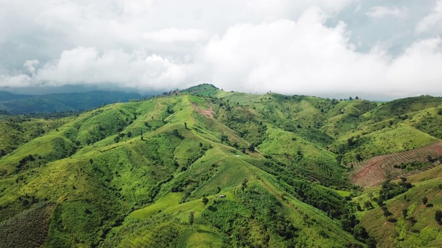 鸟瞰图，森林山从空中在晴天视频素材