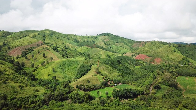 鸟瞰图，森林山从空中在晴天视频素材