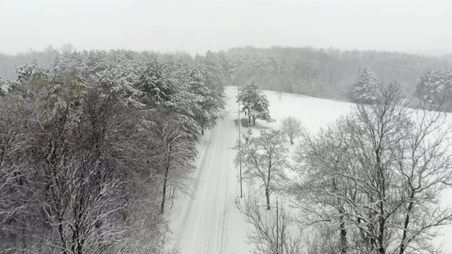 一场降雪从公园的树木和道路上方的鸟瞰图视频素材