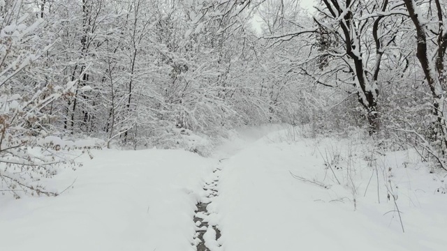 一条小溪在公园里的雪下视频素材