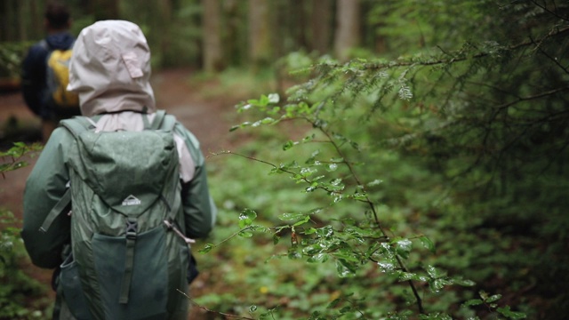 下雨天在森林里冒险的徒步旅行者视频素材