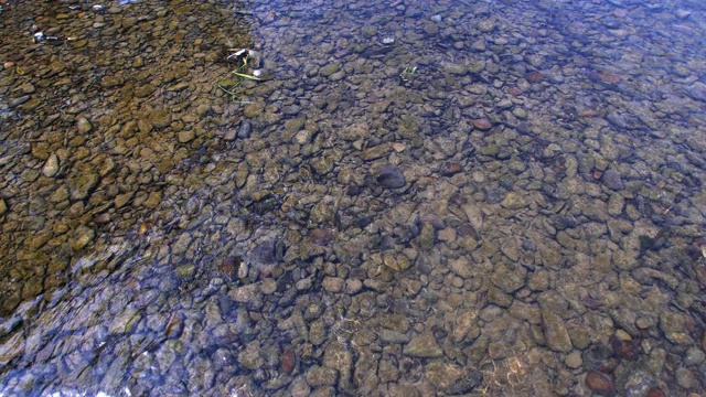 清澈的小溪底部岩石石头和流动的水视频素材