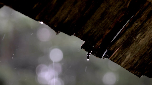 雨水从屋顶倾泻而下视频素材